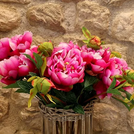 Diffuso Ca' Bianca Polcenigo